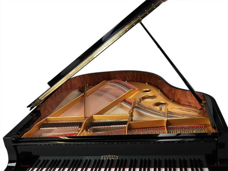 details of grand piano photography