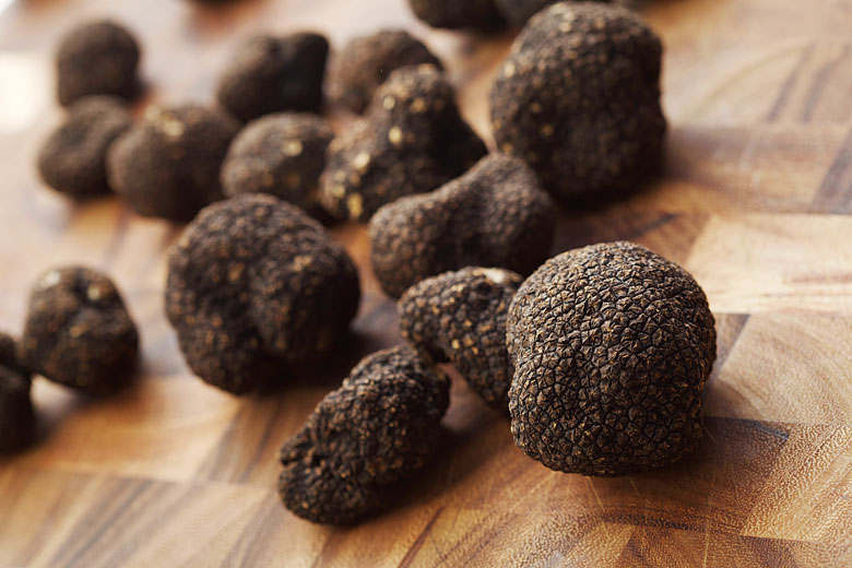 black truffle in Montreal by macchi, Montreal commercial food photography